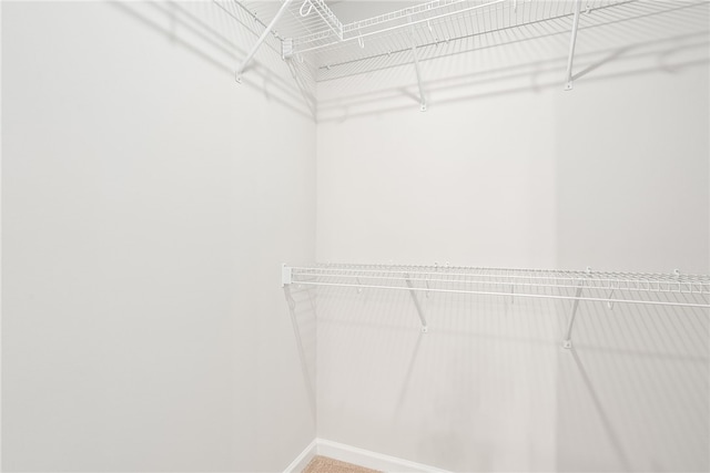 750 Mcdonald Dr, Opelika, AL 36801 - view of walk in closet