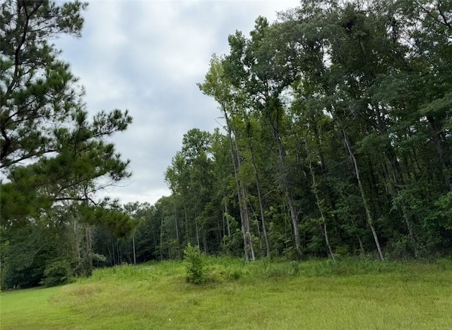 NA Lee Road 117, Opelika, AL 36804 - photo 1