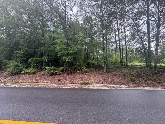 12-A Lee Road 27th Rd, Opelika, AL 36804 - photo 3
