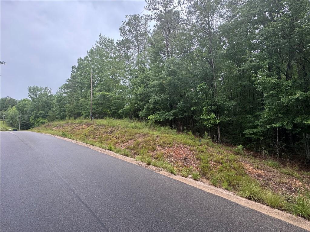 12-A Lee Road 27th Rd, Opelika, AL 36804 - photo 2