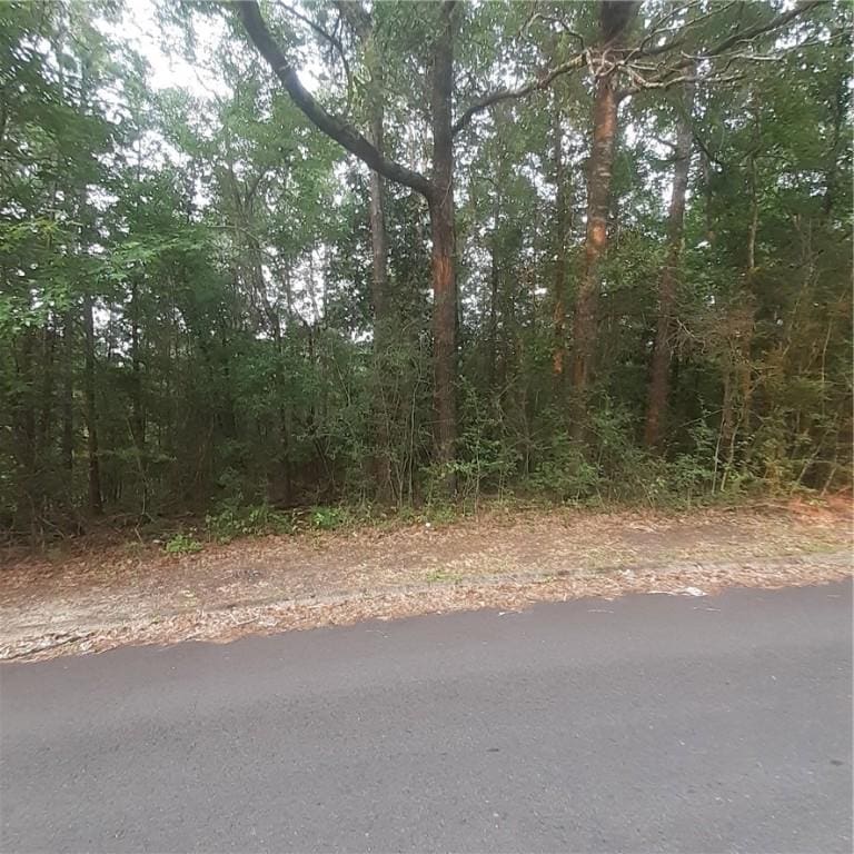 0 Bibb St, Tuskegee, AL 36083 - photo 1