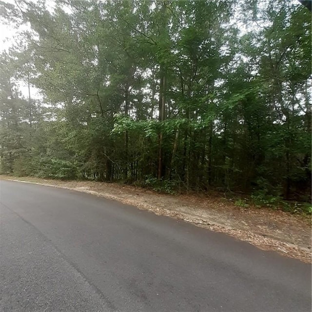 0 Bibb St, Tuskegee, AL 36083 - photo 2