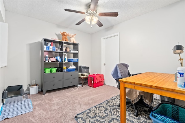 1041 Stonegate Dr Unit C, Auburn, AL 36830 - office area with carpet flooring, ceiling fan, and a textured ceiling