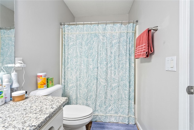 1041 Stonegate Dr Unit C, Auburn, AL 36830 - bathroom featuring vanity, toilet, and curtained shower