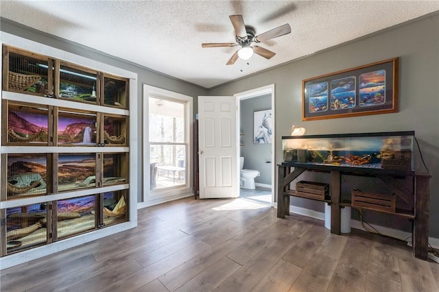 miscellaneous room featuring ceiling fan, wood-type flooring, ornamental molding, and a textured ceiling