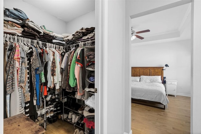 spacious closet featuring a tray ceiling, ceiling fan, and wood finished floors