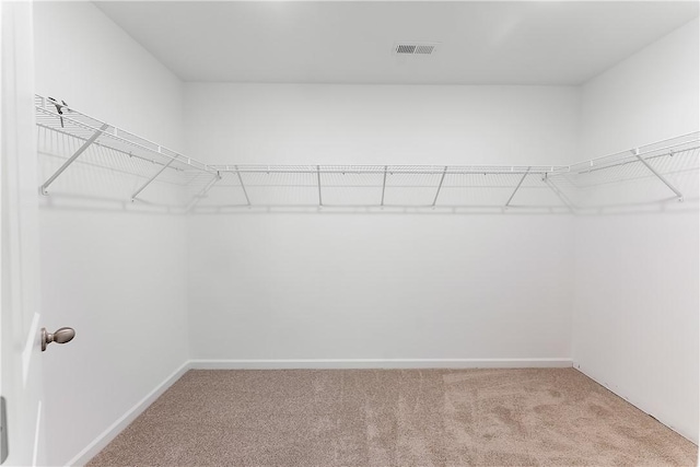 walk in closet featuring carpet floors