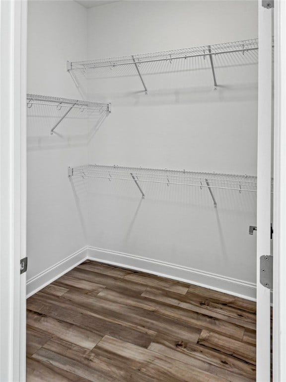 walk in closet featuring hardwood / wood-style floors