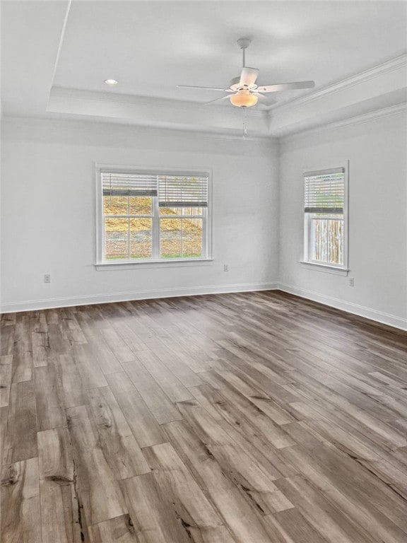 spare room featuring light hardwood / wood-style floors and a raised ceiling