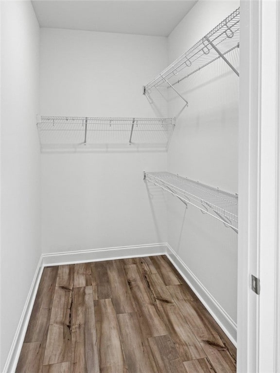 spacious closet with wood-type flooring