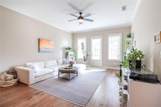 living room featuring hardwood / wood-style flooring, ceiling fan, and crown molding