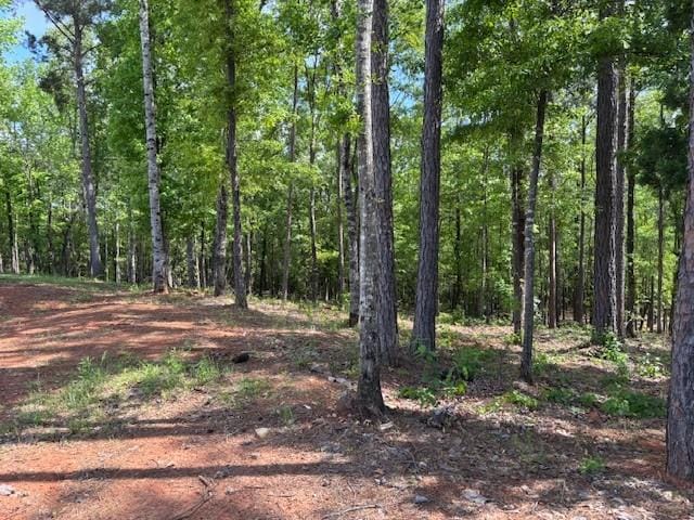95 Waverly Way, Waverly, AL 36879 - photo 7