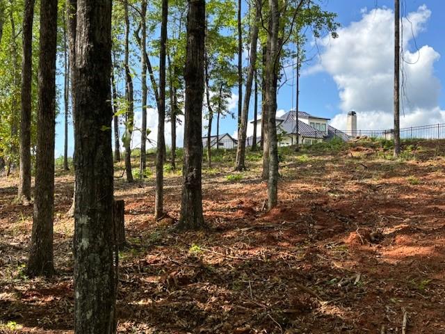 95 Waverly Way, Waverly, AL 36879 - photo 10