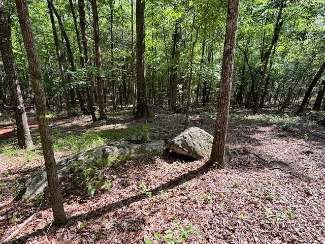 95 Waverly Way, Waverly, AL 36879 - photo 11