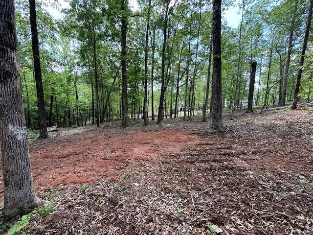 95 Waverly Way, Waverly, AL 36879 - photo 9