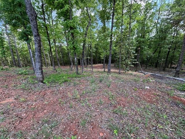 95 Waverly Way, Waverly, AL 36879 - photo 8