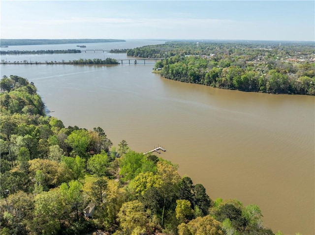 406 Saint Francis Rd, Eufaula, AL 36027 - bird's eye view of a nearby body of water and a heavily wooded area