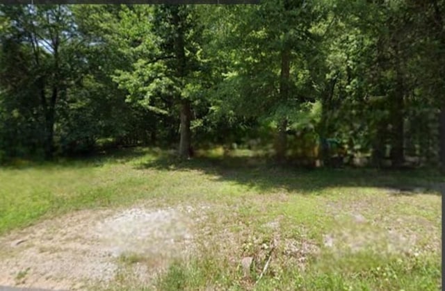 1297 Lee Road 45, Opelika, AL 36804 - photo 1
