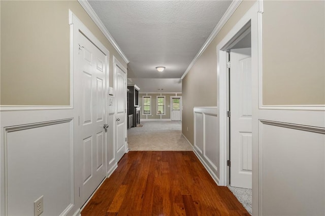 hallway featuring crown molding, hardwood / wood-style flooring, and a textured ceiling