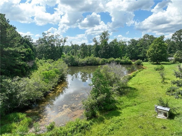 2300 Dorsey St, Opelika, AL 36801 - photo 4