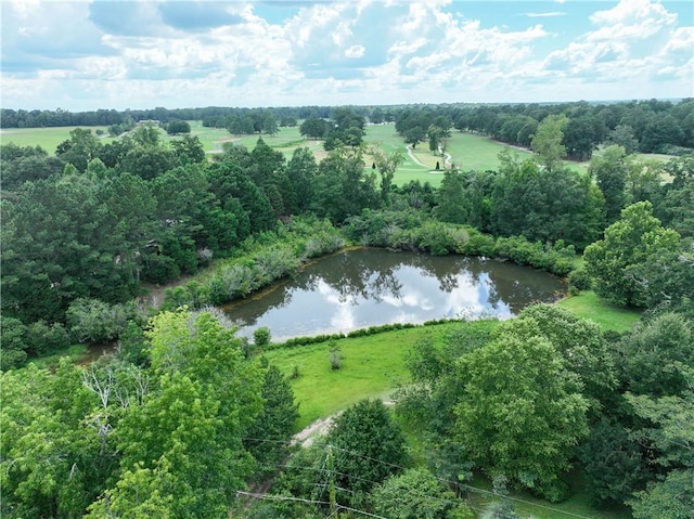 2300 Dorsey St, Opelika, AL 36801 - photo 11