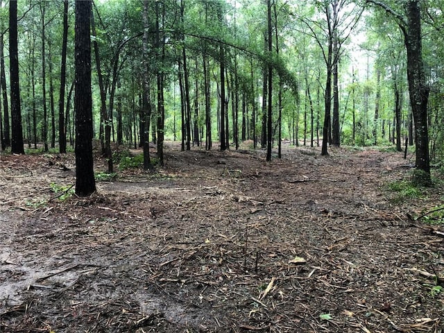 LOT9 Lee Road 39, Beauregard, AL 36804 - photo 2