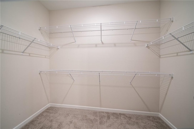 walk in closet with carpet