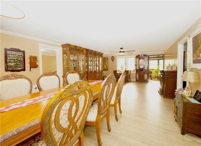 dining area with ceiling fan, crown molding, and light hardwood / wood-style floors