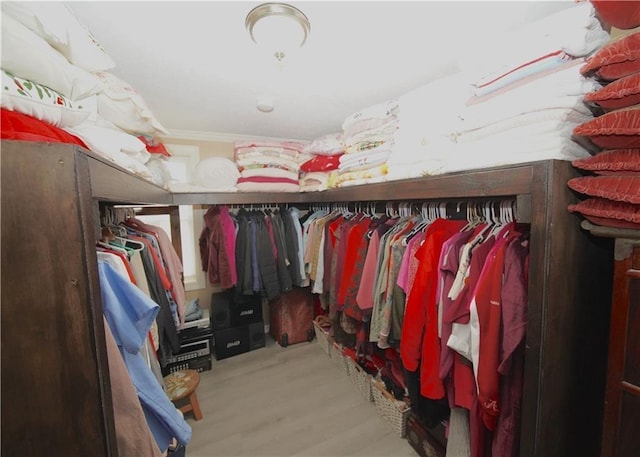 spacious closet featuring light wood-type flooring