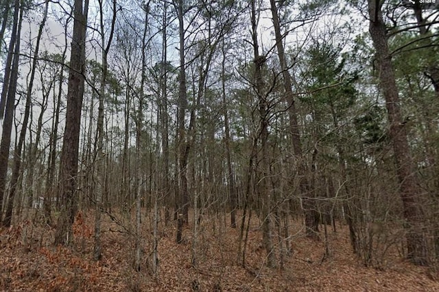 0 Bama Park Rd, Dadeville, AL 36853 - photo 2
