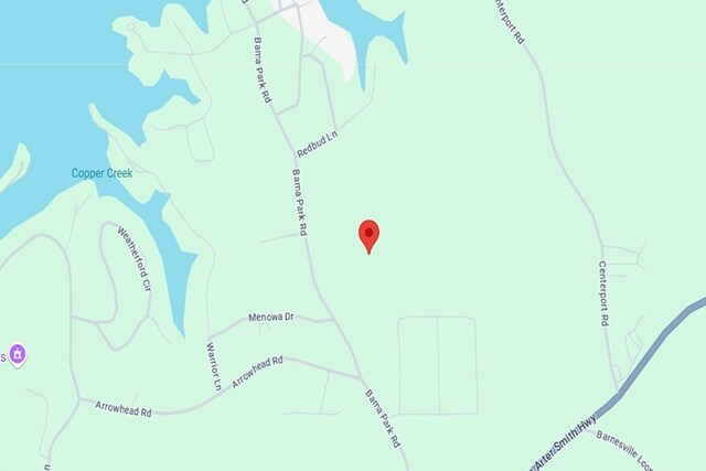 0 Bama Park Rd, Dadeville, AL 36853 - photo 6