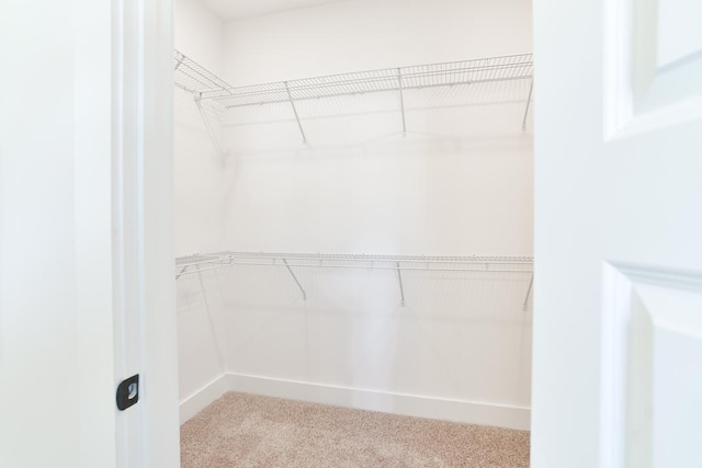 108 Hunters Way, Opelika, AL 36801 - spacious closet featuring carpet
