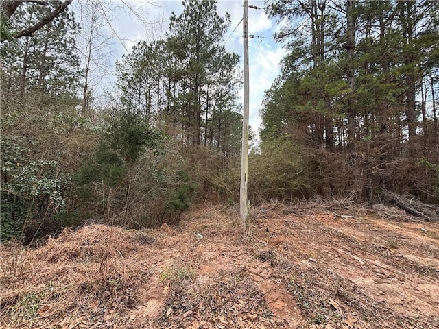 Listing photo 3 for TBD 64th Ave SW, Lanett AL 36863