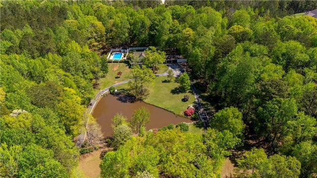 3519 Anderson Rd, Opelika, AL 36801 - aerial view of a forest and a nearby body of water