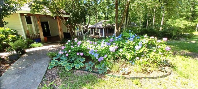 5394 Lee Road 166, Opelika, AL 36804 - photo 36