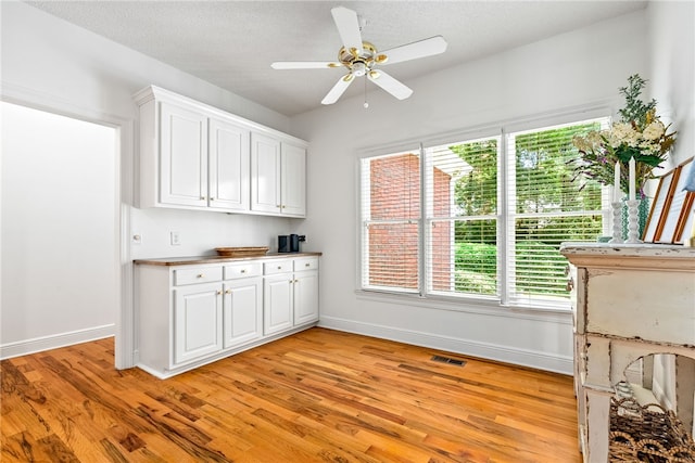 1421 Crossing Way, Auburn, AL 36830 - kitchen with light wood-type flooring, healthy amount of natural light, and white cabinets