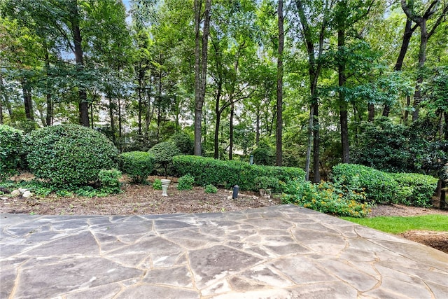 1421 Crossing Way, Auburn, AL 36830 - view of patio / terrace