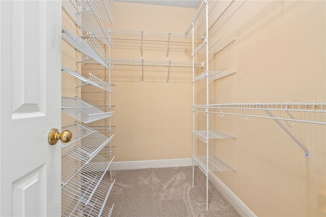 1421 Crossing Way, Auburn, AL 36830 - walk in closet featuring carpet floors