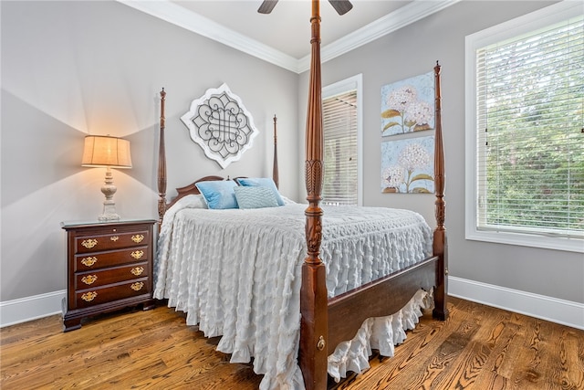 bedroom with multiple windows, dark hardwood / wood-style floors, ceiling fan, and crown molding