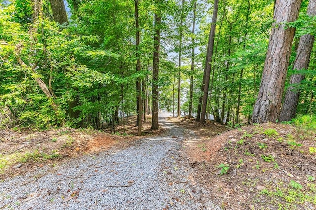 593 Elks Pkwy, Alexander City, AL 35010 - view of road featuring a forest view