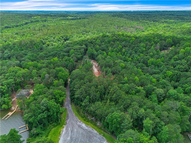 593 Elks Pkwy, Alexander City, AL 35010 - aerial view of property's location featuring a forest