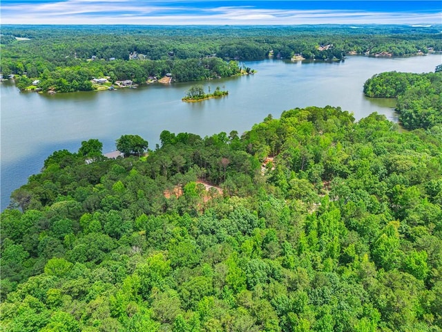 593 Elks Pkwy, Alexander City, AL 35010 - aerial view of property's location featuring a forest and a nearby body of water