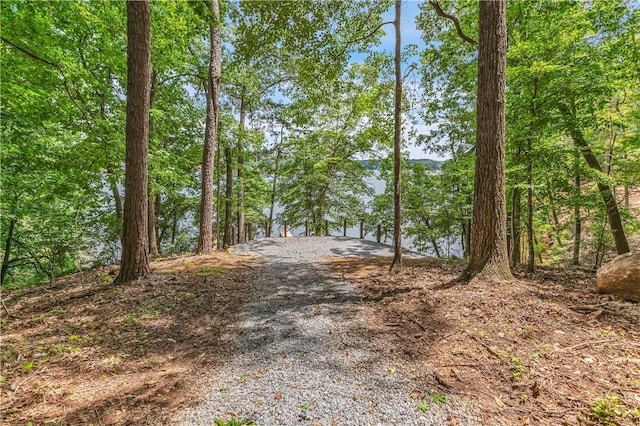 593 Elks Pkwy, Alexander City, AL 35010 - view of road
