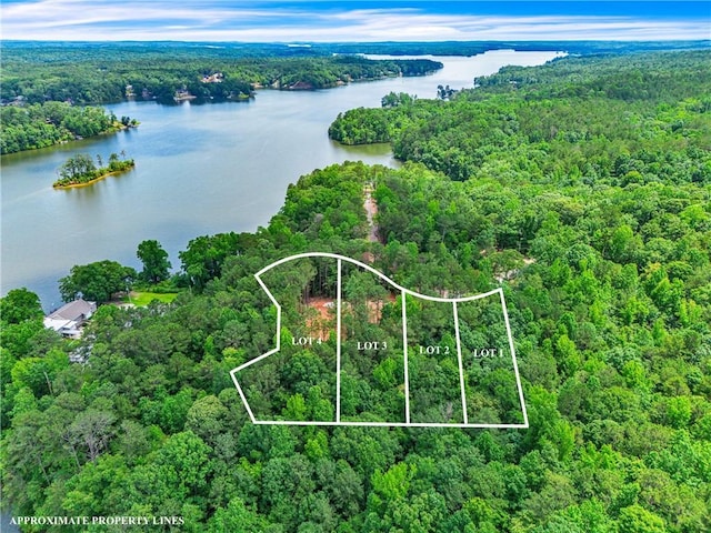 593 Elks Pkwy, Alexander City, AL 35010 - aerial view of property's location featuring a large body of water and property boundaries highlighted