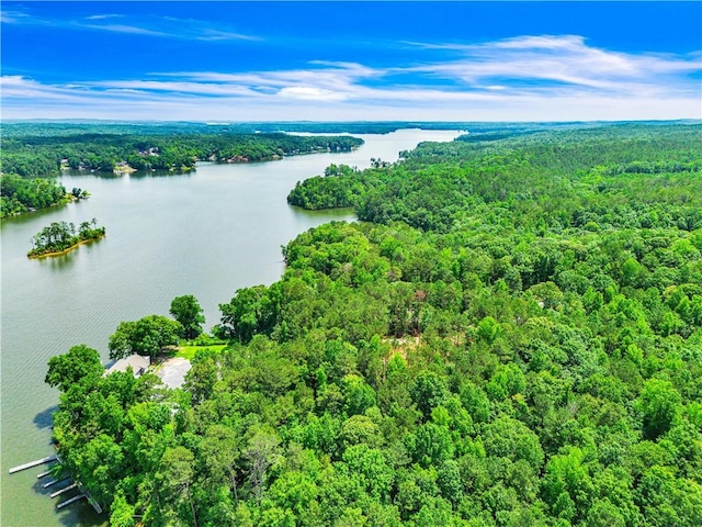 593 Elks Pkwy, Alexander City, AL 35010 - drone / aerial view of a heavily wooded area and a large body of water