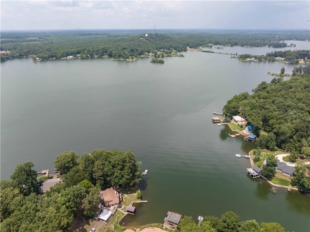 1701 Lee Road 353, Valley, AL 36854 - aerial view of a nearby body of water
