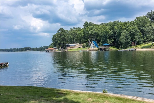 1701 Lee Road 353, Valley, AL 36854 - water view