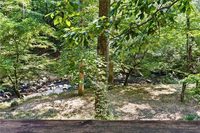 711 Oak Knoll Cir, Auburn, AL 36830 - view of tree filled area