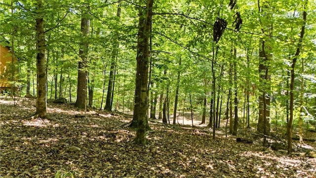 711 Oak Knoll Cir, Auburn, AL 36830 - view of wooded area