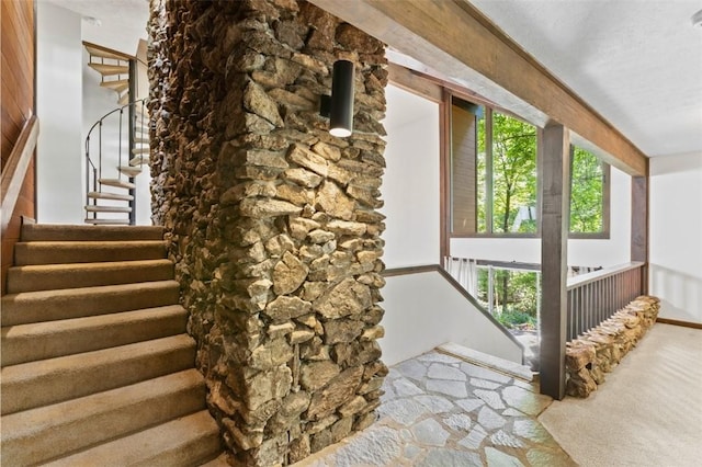 711 Oak Knoll Cir, Auburn, AL 36830 - staircase featuring carpet flooring